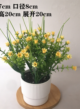 小盆栽仿真假花摆件客厅家居茶几摆设塑料花手捧花假植物套装饰品
