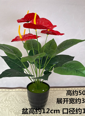 仿真绿植红掌假花塑料植物盆栽盆景客厅办公桌上酒柜室内装饰摆设