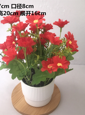 小盆栽仿真假花摆件客厅家居茶几摆设塑料花手捧花假植物套装饰品
