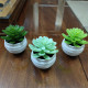 Home decoration potted anti-green plant simulated flower