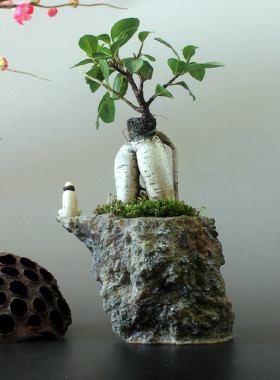 达摩禅意风家居客厅榕树工艺品