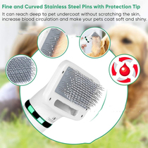 Blown two-in-one pet blowing comb Wind Z Lairy machine