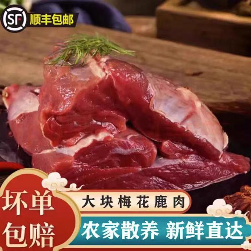 正宗吉林现杀梅花鹿肉新鲜生鲜鹿腿鹿排鹿里脊鹿腱子鹿腩顺丰包邮 - 图2