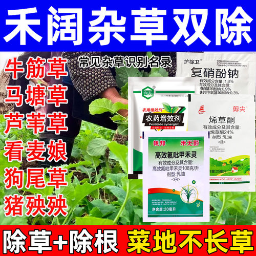 蔬菜苗后除草剂套装蔬菜除草剂禾本尖叶草套装牛筋草芦苇草农药 - 图0