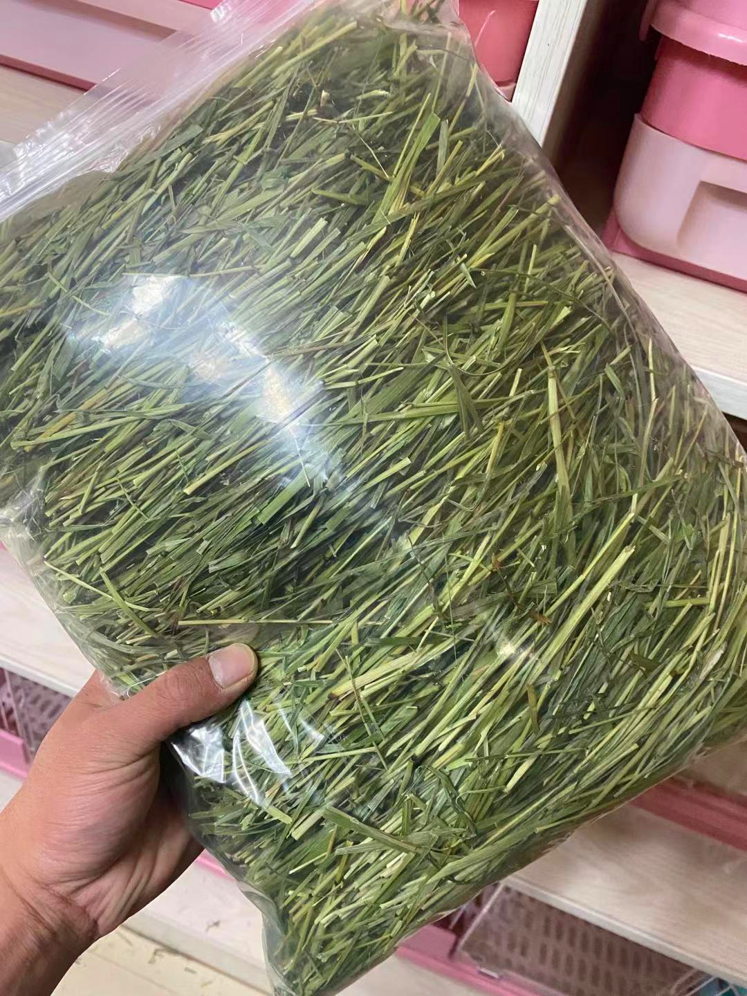 北提草杆提摩西草杆嫩杆磨牙多杆兔子豚鼠荷兰猪龙猫用500g包邮 - 图0