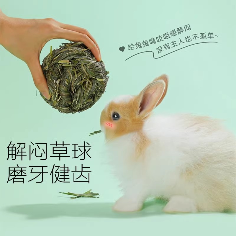 兔子解闷玩具草球提摩西草麻花宠物兔用品龙猫荷兰猪咬啃磨牙零食 - 图0