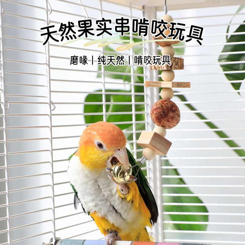 鹦鹉玩具解闷自嗨磨牙和尚玄凤小太阳牡丹啃咬鸟玩具大全笼内装饰,淘宝优惠券,粉丝福利购,淘宝优惠卷
