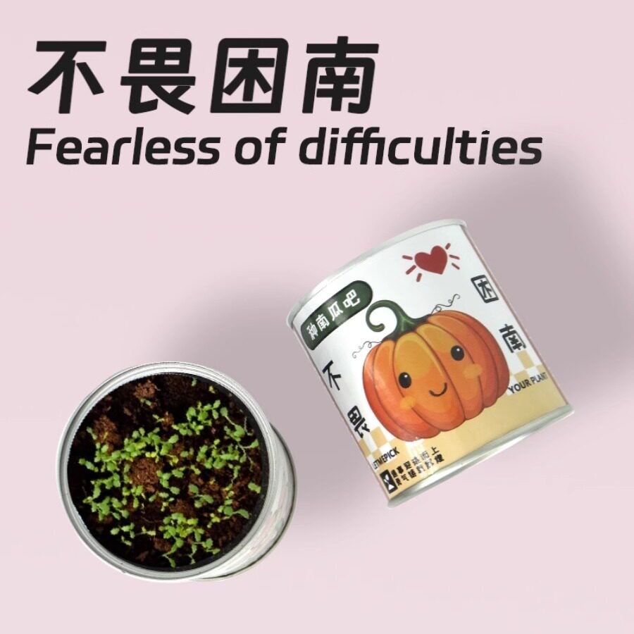 网红罐装种植小盆栽面罐头幸运草向日葵小花农绿企业学校番茄罐头
