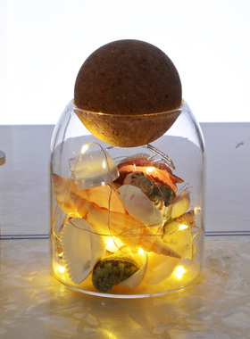 储物贝壳海螺密封玻璃瓶家居装饰