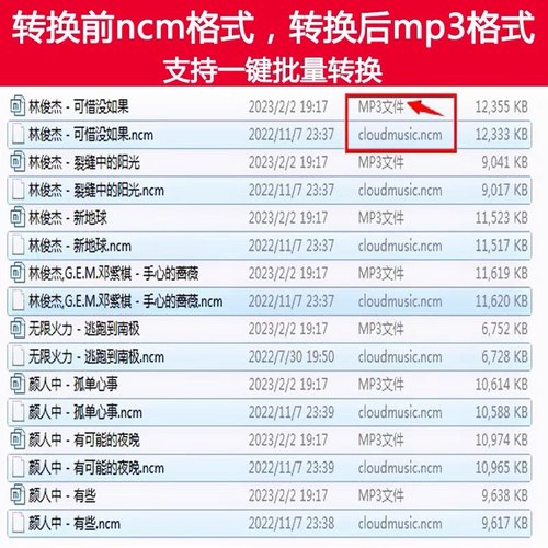 网易云Ncm音乐歌曲格式转换ncm flac转mp3无损转码转换器软件-图2