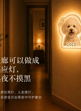 萌宠工坊宠物氛围灯来图定制