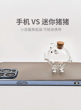 【攒金豆豆收纳瓶子】金猪存钱罐