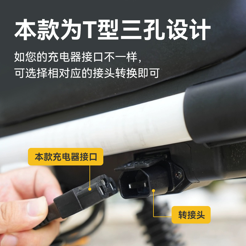 电动车充电器雅迪爱玛台铃小刀电瓶车电车通用60v20ah48v12ah72v-图2