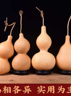 天然葫芦挂件摆件 DIY手工吊顶装饰烙画学校研学美术彩绘练手清仓