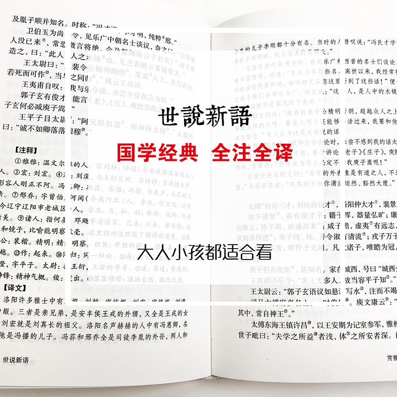 世说新语正版书文言文注释白话文原版注解全本译中国古诗词大全集大会中华国学名著书局生僻字疑难字注音初中生高中历史阅读书籍-图1