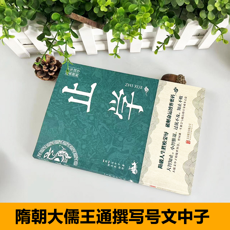 止学正版十卷完整版全集智慧谋略插图版原文+译文+智慧解读王通文中子著人民出版社中华书局北京联合出版社天津古籍出版社儿童版 - 图0