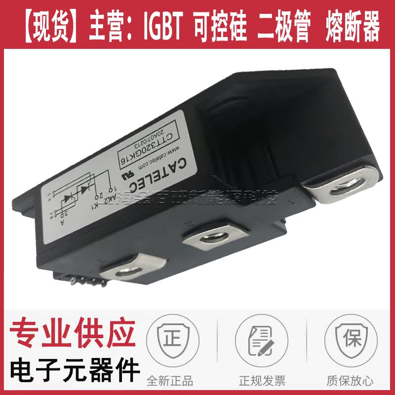 CTT320GK08PT/GK12PT CTT320GK14PT CTT320GK16PT/18PT可空硅 - 图2