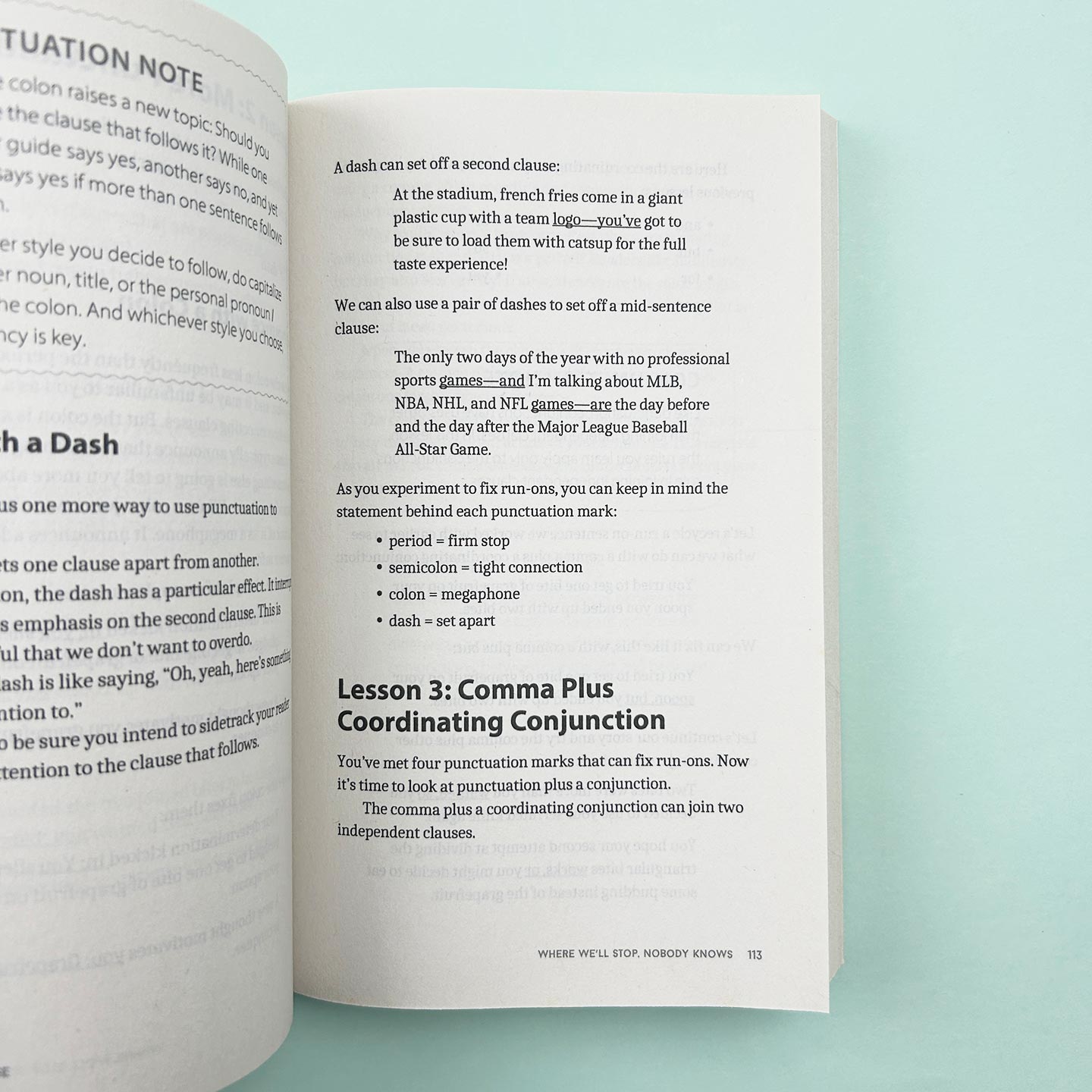 英文原版 Comma Sense Punctuation Workbook Elements of Style 逗号的意义 英语标点符号语法指南 Ellen Feld 进口英语原版书籍
