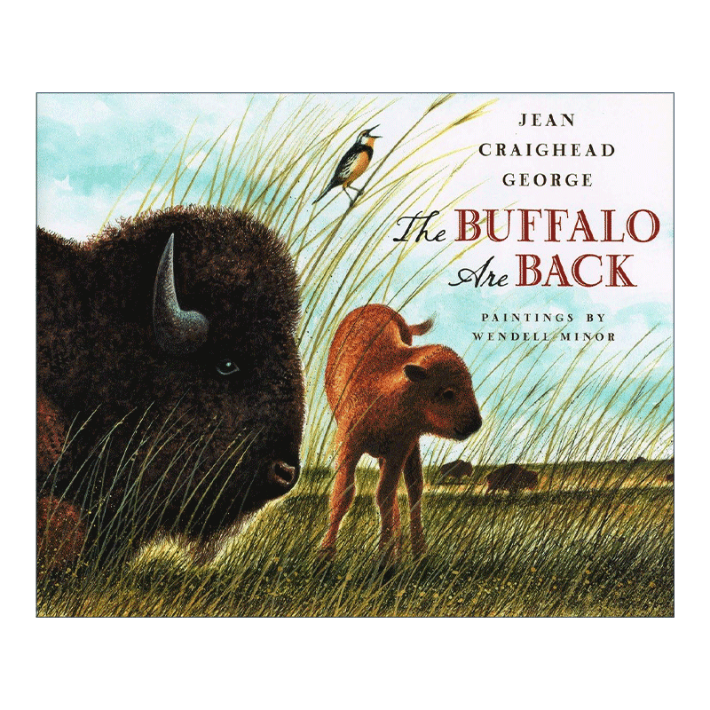 英文原版 The Buffalo Are Back 水牛回来了 儿童自然环境保护精装绘本 纽伯瑞奖得主 山中岁月作者Jean Craighead George 英文版