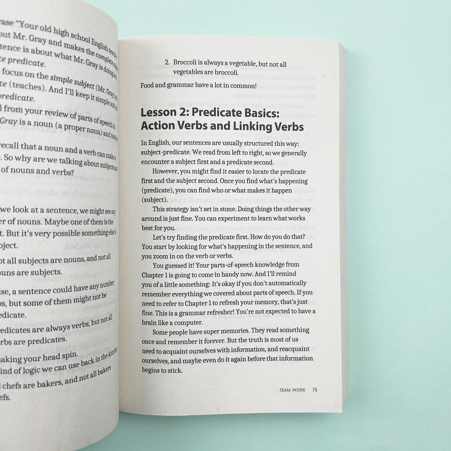 英文原版 Comma Sense Punctuation Workbook Elements of Style 逗号的意义 英语标点符号语法指南 Ellen Feld 进口英语原版书籍