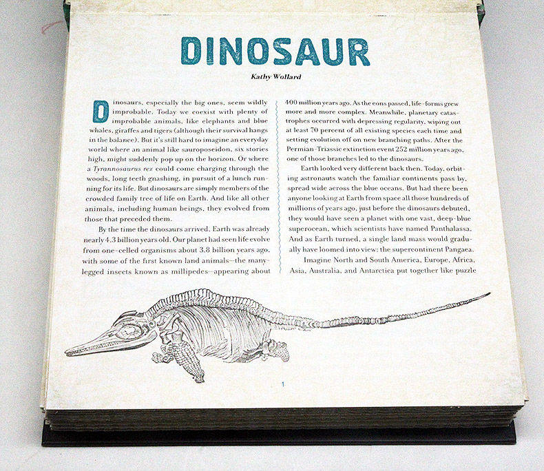 光与影视觉书系列 恐龙 3D立体动画书 英文原版绘本 Dinosaur A Photicular Book 动画效果翻翻书 英文版进口英语纽约时报畅销书 - 图0