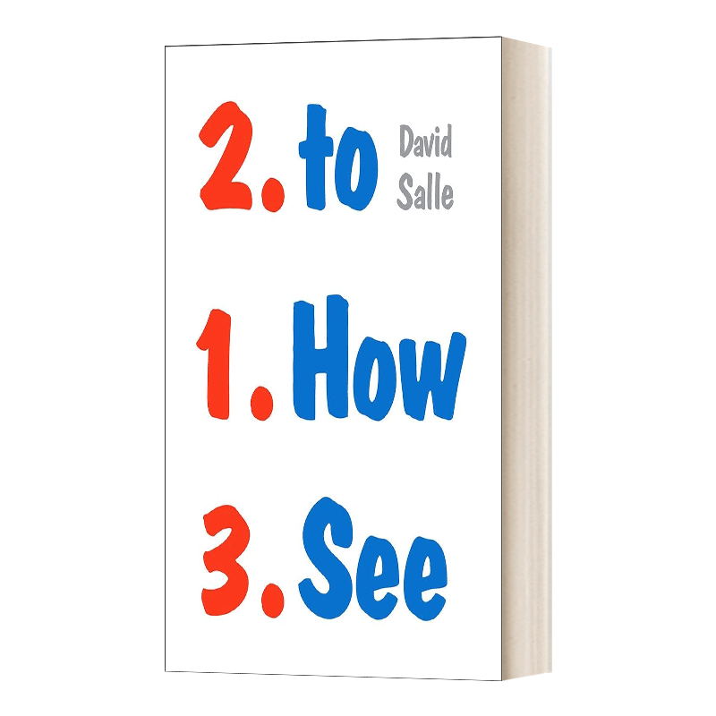 英文原版 How to See 如何看 看 说 思考艺术 英文版 进口英语原版书籍