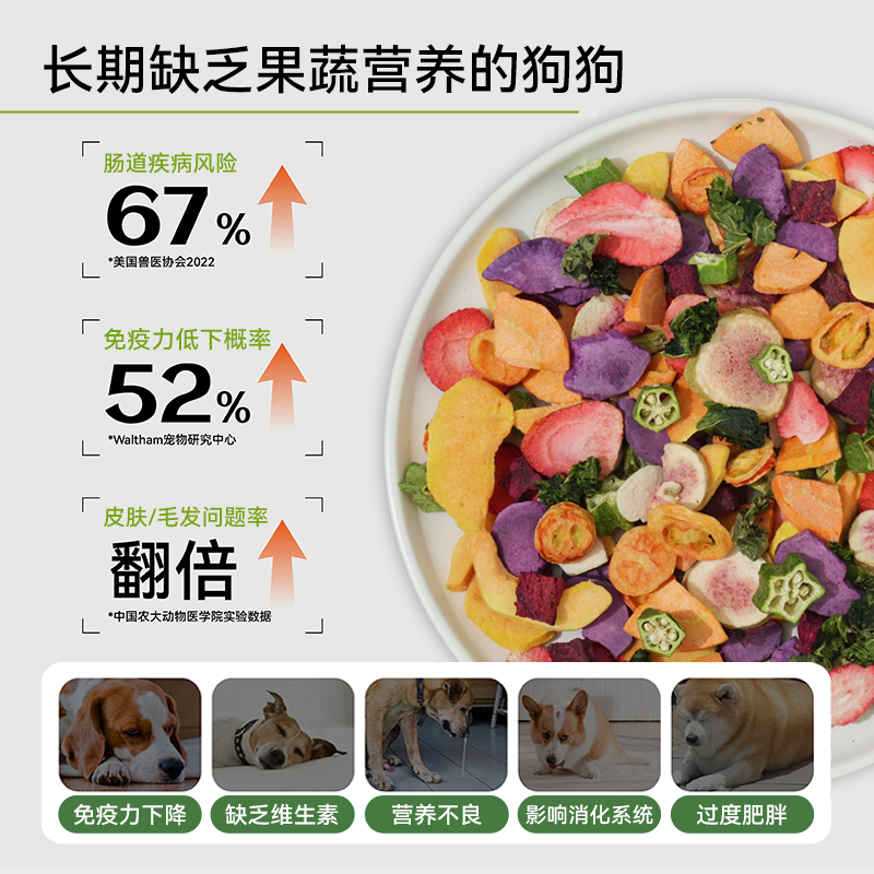 它福狗狗零食水果蔬菜冻干孢子甘蓝桶幼犬宠物果蔬拌饭宠物粮伴侣,淘宝优惠券,粉丝福利购,淘宝优惠卷