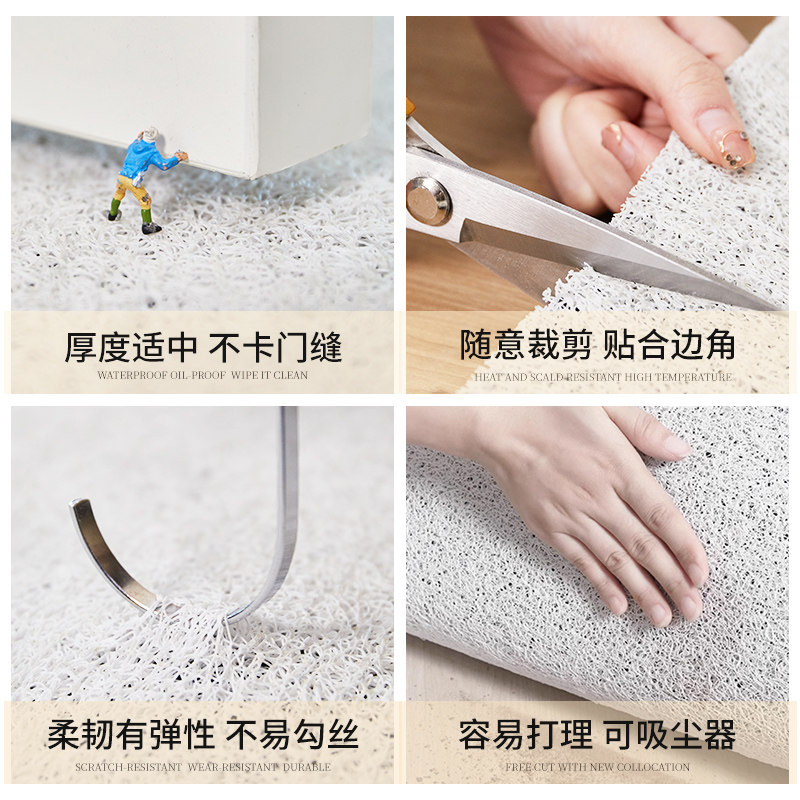 高品质入户门地垫丝圈蓝色进门口家用脚垫门外除尘垫防滑耐脏地毯,淘宝优惠券,粉丝福利购,淘宝优惠卷