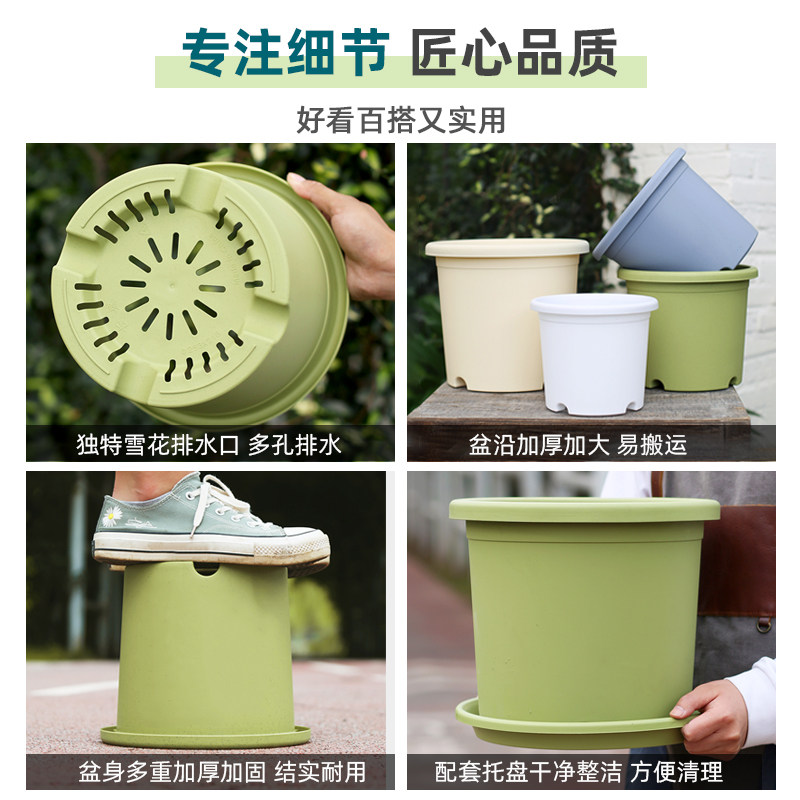四季树脂花盆控根盆栽deepot加仑盆阳台绣球月季塑料大号花盆家用,淘宝优惠券,粉丝福利购,淘宝优惠卷