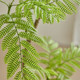 Simulated jacaranda indoor living room floor-standing high-end ornaments