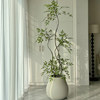 Yangma recommends 2025 newly upgraded simulated nandina bamboo