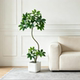 New simulated green plant Paul big leaf umbrella