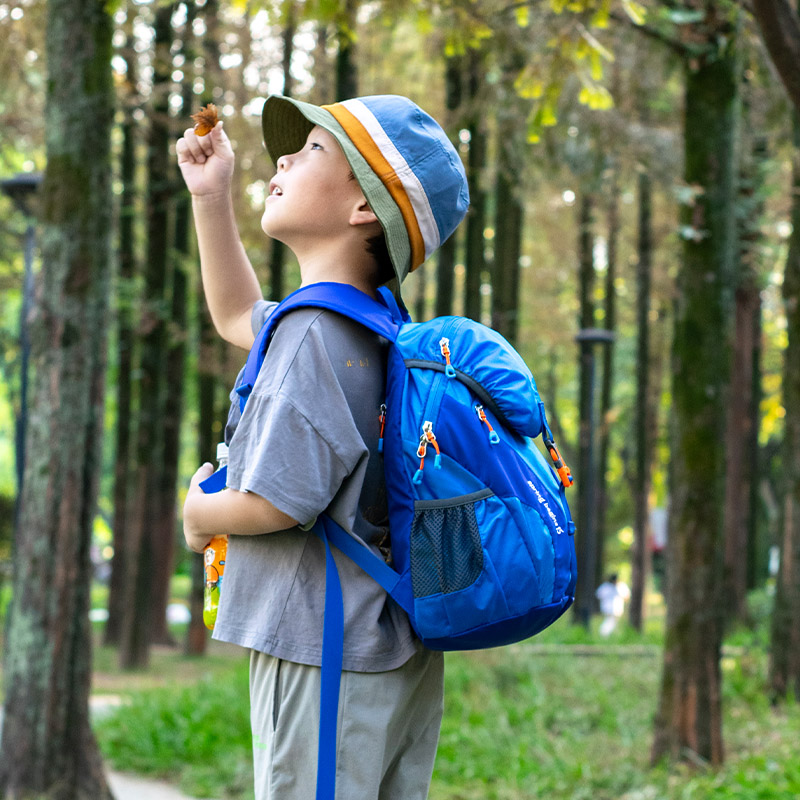 儿童旅行背包男孩户外轻便小双肩包出游男童超轻小学生书包旅游