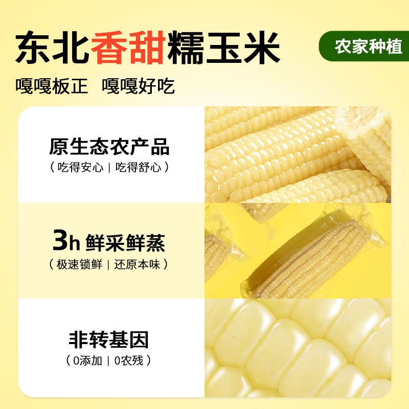 正宗东北白糯玉米现摘新鲜甜玉米真空包装黏粘甜苞米粗粮代餐即食
