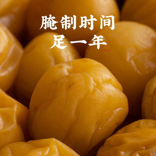 潮汕集锦酸梅酱广式特产烧鹅酱冰梅子酱烤鸭叉烧青梅酱蘸调料200g - 图2