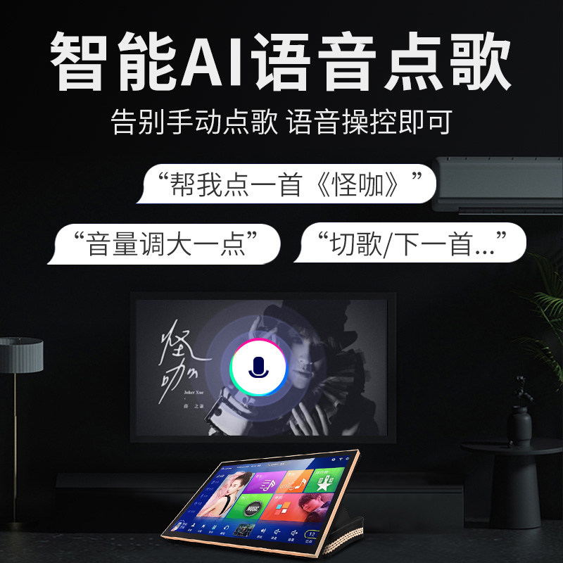 inandon /音王家庭ktv内置点dsp inandon致享KTV/卡拉OK音箱