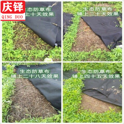 厂庆铎农用黑色除草布防草膜透气渗水化生态防草布果园遮草地布新-图0