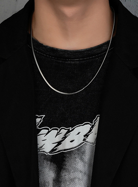配饰蛇骨链项链男潮轻奢小众