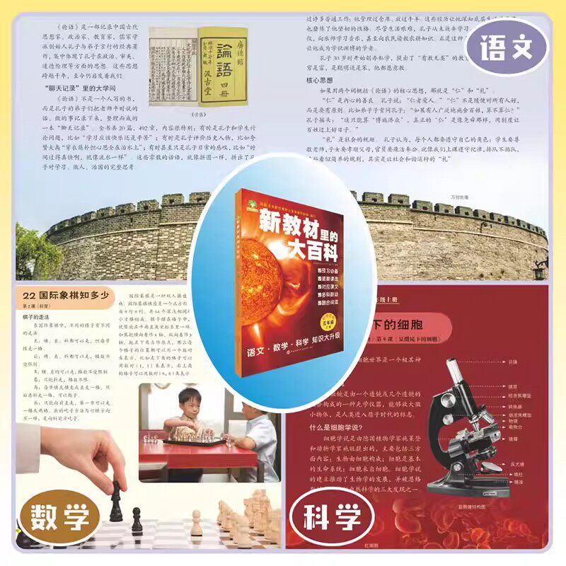 【现货速发】新教材里的大百科 2025年新版同步教材1-6年级全国通用上册小学语文数学科学知识拓展孩子的课外视野