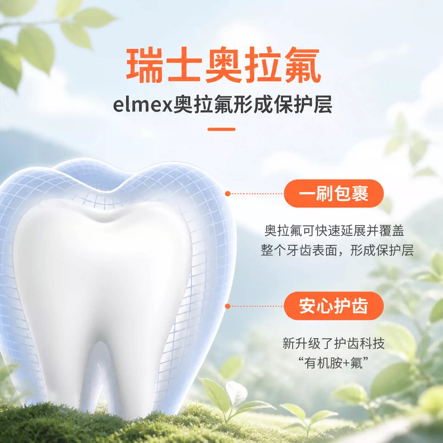 图 3