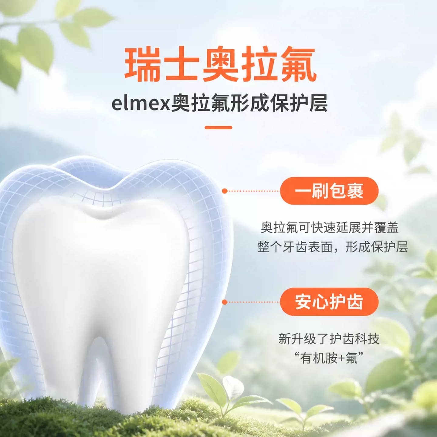 图 3