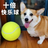 Собаки десять раз счастливый мяч, кусание, укусы, безумно -незрелые, большой теннисный тедди Корги интерактивный щенок, не плохая игрушка питомец