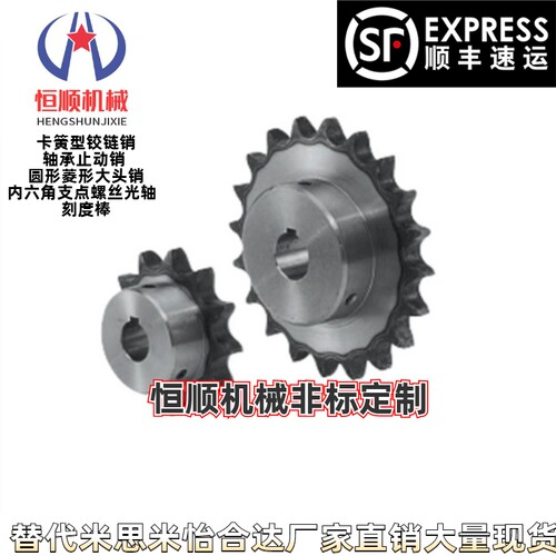 SP25B38/SP25B40-N/S-10/15/16/18/20-链轮25B/35B/40B/50B/60B - 图0