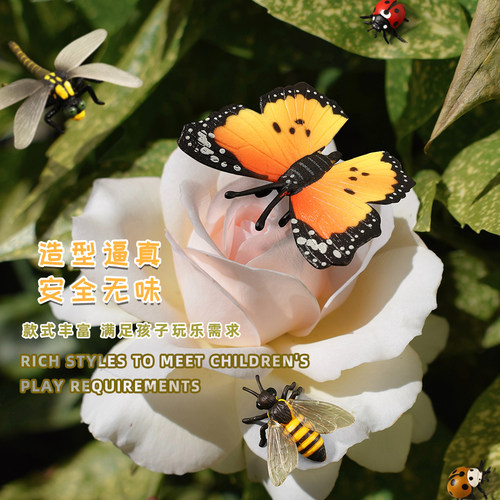仿真昆虫模型玩具蜻蜓七星瓢虫蝴蝶蜘蛛蚂蚁蜜蜂螳螂虫子儿童认知 - 图1