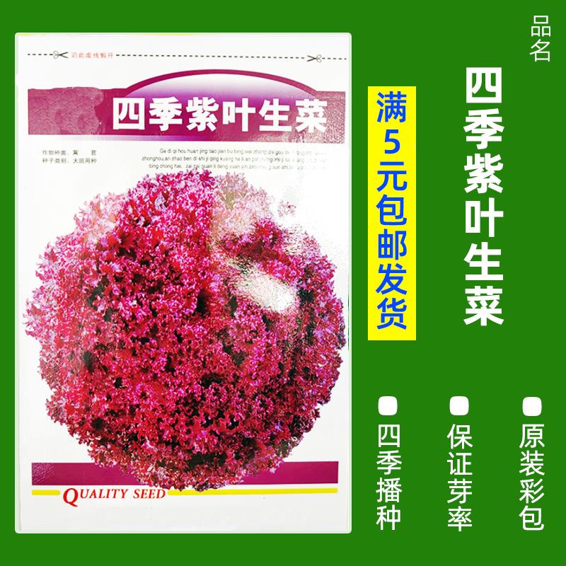 蔬菜种子四季播种阳台农家盆栽香菜菠菜生菜韭菜小葱孑大全 - 图2