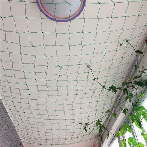 园艺爬藤网百香果葡萄植物攀爬瓜果藤蔓花卉尼龙网豆角牵藤搭架网,淘宝优惠券,粉丝福利购,淘宝优惠卷