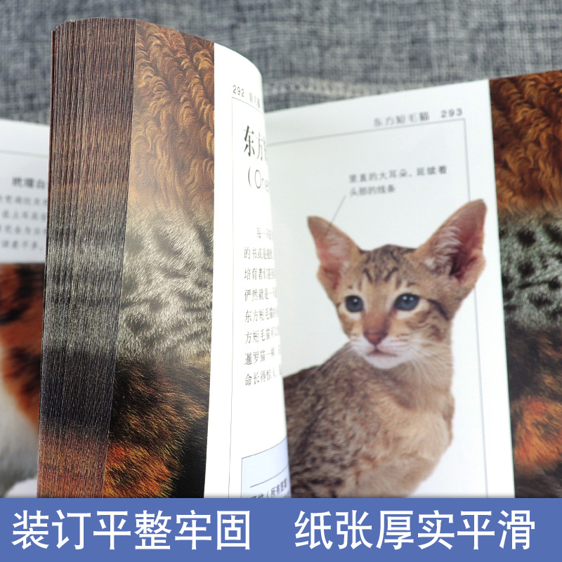 正版 DK猫咪百科 70多种猫咪科普 宠物猫图鉴 猫的喂养方式 科学饲养 养猫全攻略书籍 爱猫党撸猫党喵星人 猫类驯养入门教程 - 图3