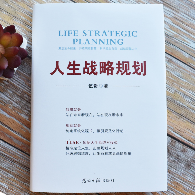 人生战略规划 伍哥 企业管理 品牌思维安全健康时间规划管理 企业营销战略规划 光明日报出版社 华夏智库 - 图0