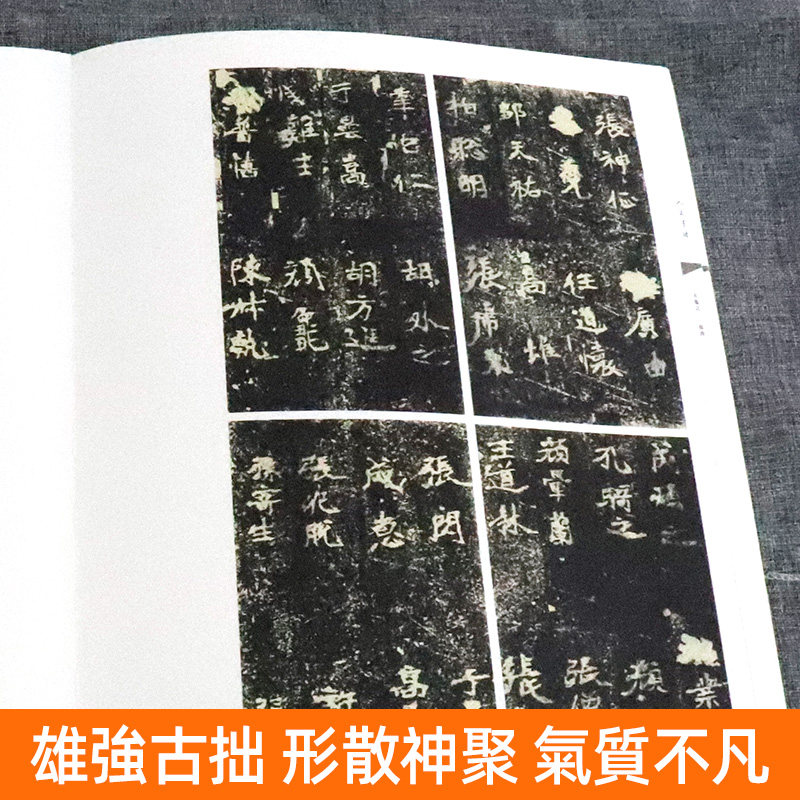 【8开191页】人美书谱天卷之一 真书龙门四品张猛龙碑爨宝子碑郑文公碑 孙伯翔主编 楷书毛笔书法练字帖碑帖临摹范本繁体注释 人美