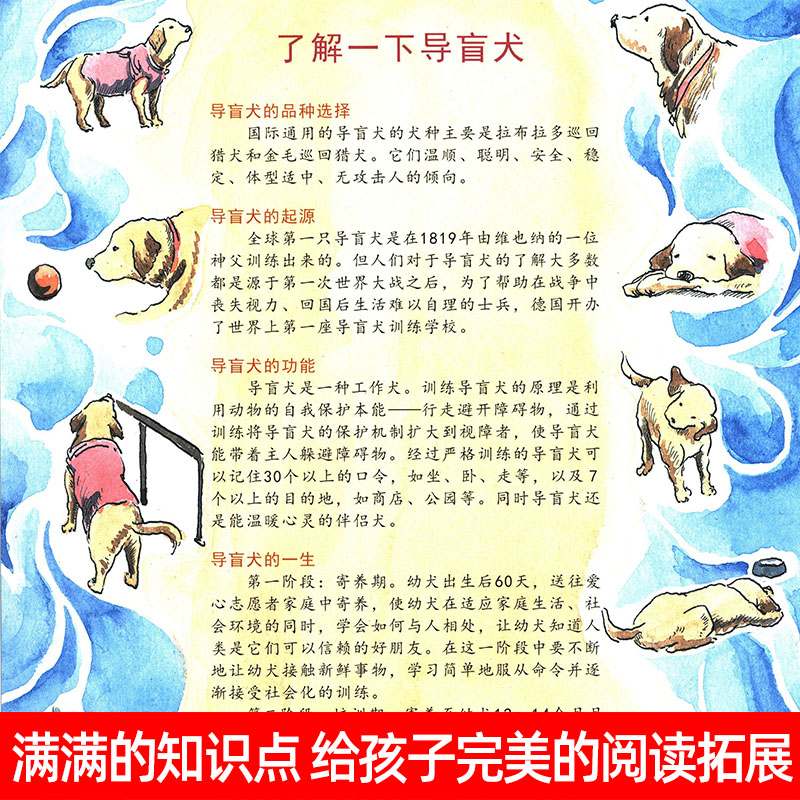 陪你长大系列绘本孙俪 睡前故事流浪动物生命教育绘本图画书5本装3-8岁儿童读物中班大班绘本童书 孙俪儿童绘本